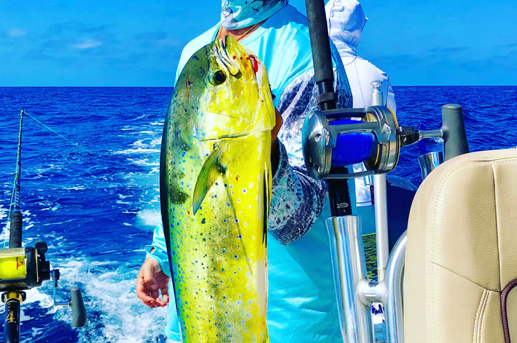 green and yellow fish caught on a fishing charter